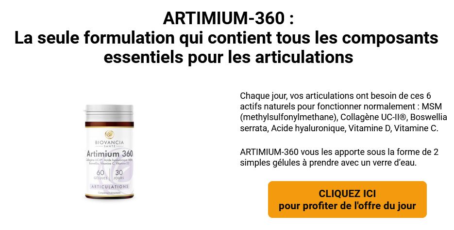 Artimium 360 2