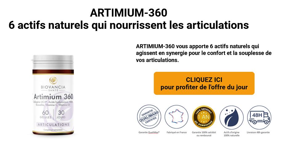 Artimium 360