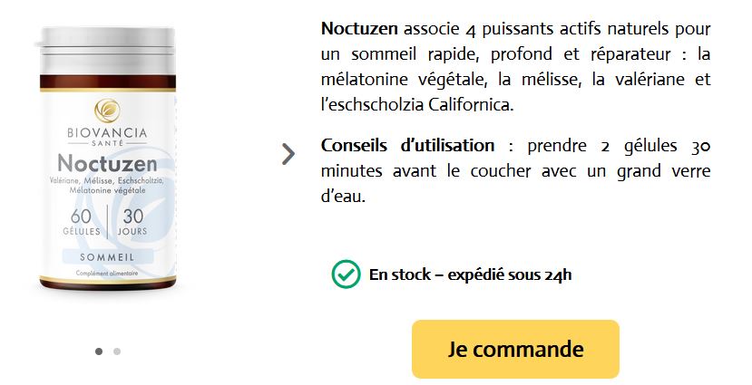 Noctuzen 2