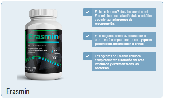 Erasmin.2