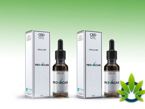 provocan-cbd-oil