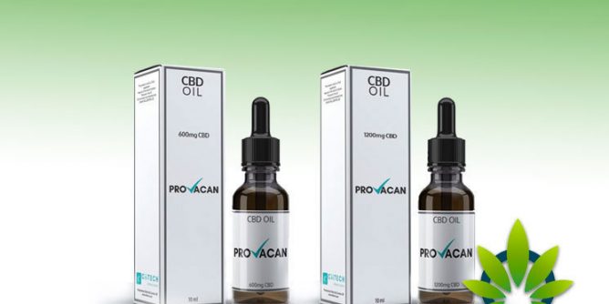 provocan-cbd-oil