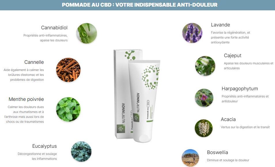 Pommade CBD FR