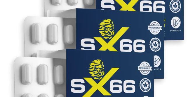 SX66