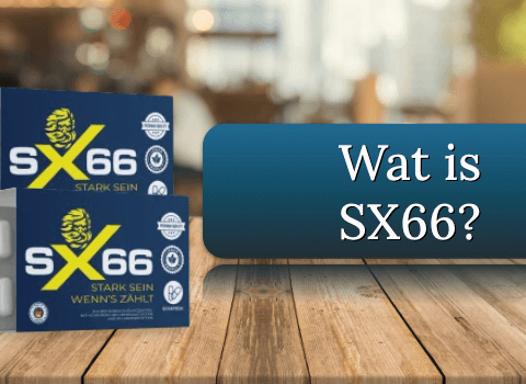 SX66 Review