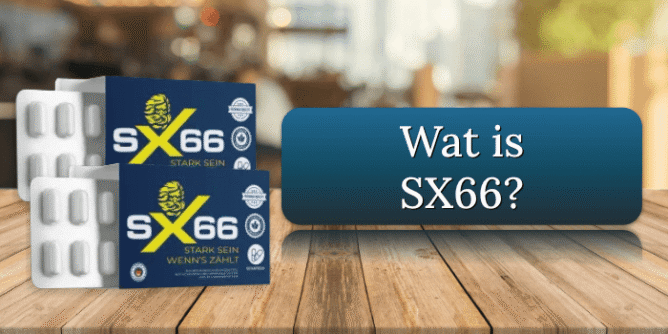 SX66 Review