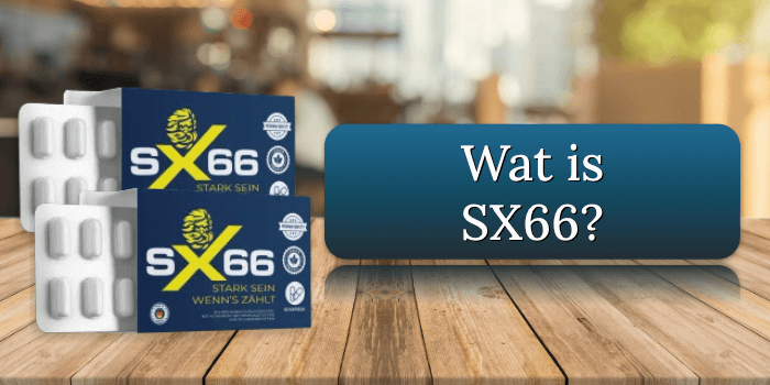 SX66 Review