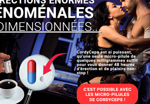 cordyceps avis