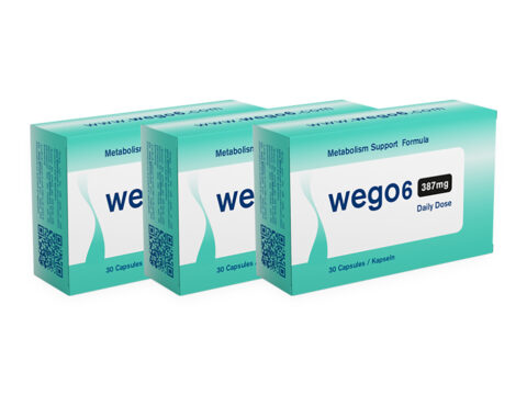 wego-6