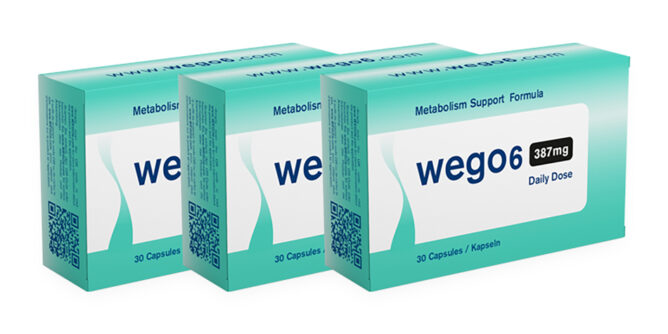 wego-6